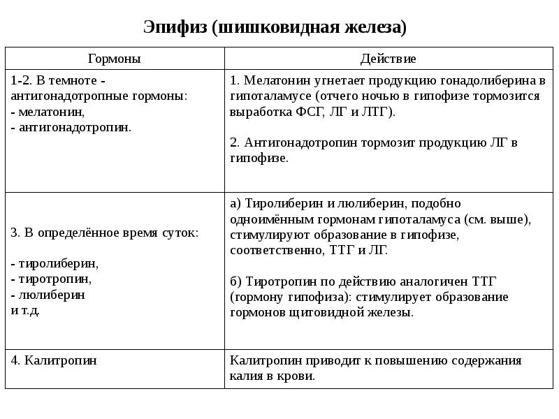 Эпифиз гормоны. Антигонадотропный гормон эпифиза. Эпифиз гормоны и функции таблица. Гормоны эпифиза и их функции. Антиконодотропный гормон.