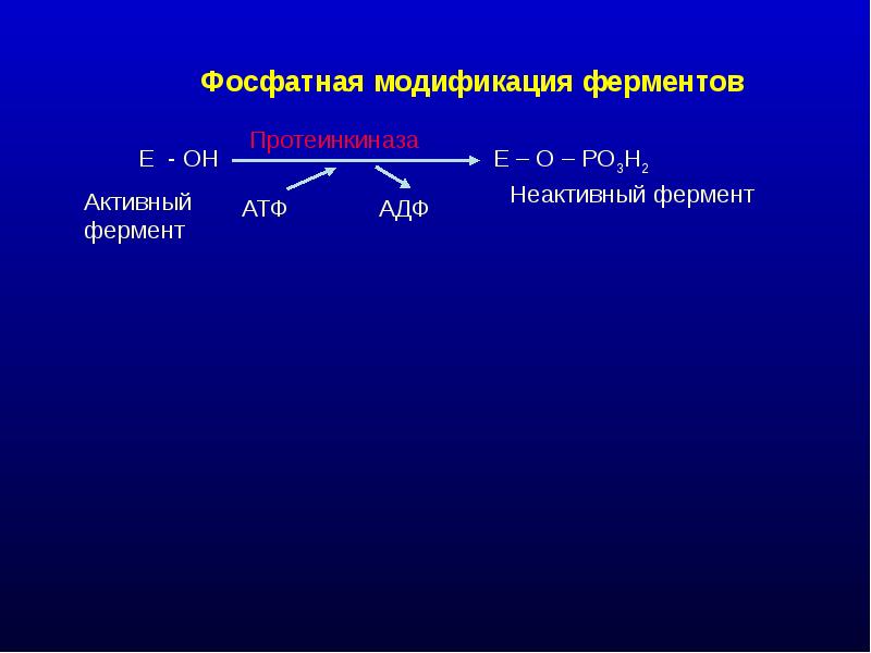 Ферментативные реакции презентация