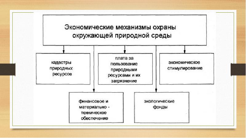 Охрана окружающей среды схема