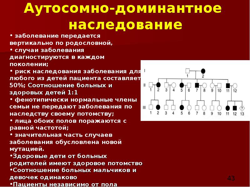 Презентация сцепленное наследование признаков 10 класс