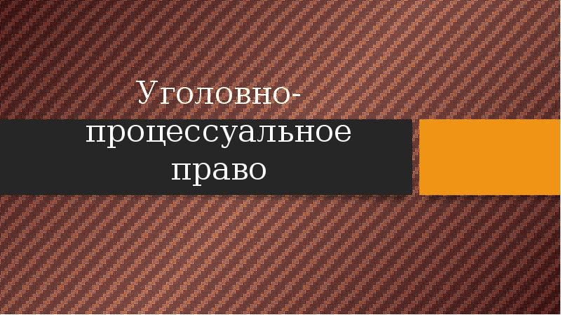 Проект единого процессуального кодекса