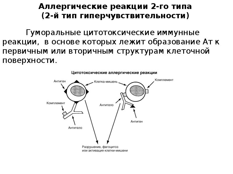 Цитотоксический иммунный ответ