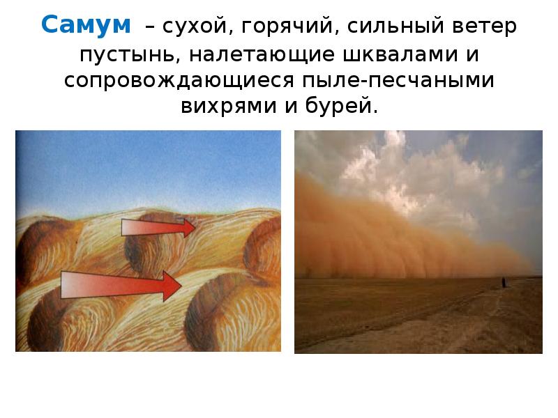 В какой природной зоне сильные ветры. Самум Песчаная буря. Самум ветер пустыни. Характеристика ветра Самум. Самум презентация.