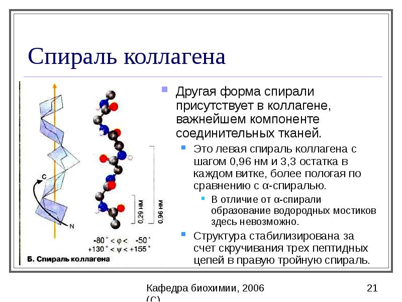 Белки и пептиды презентация