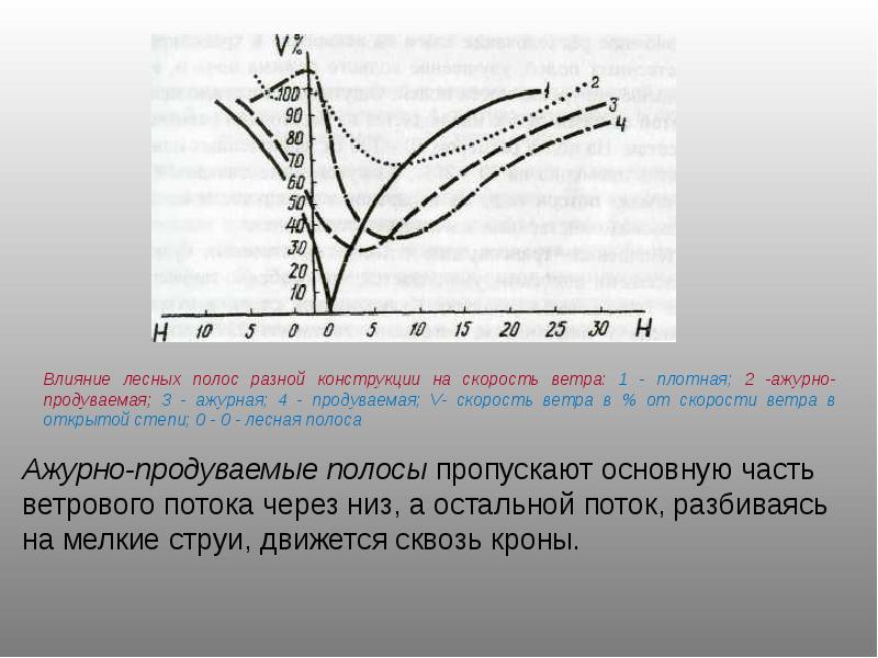 Реферат: Влияние лесных полос на ветровой поток, температуру и влажность приземного слоя воздуха