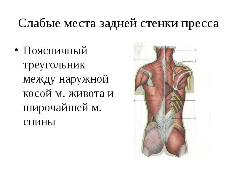 Слабые стенки