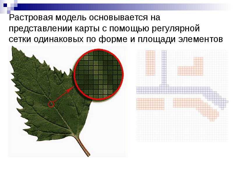 Растровое изображение представляет собой. Растровая модель географических данных. Регулярная Растровая сетка. Растровая форма это. Растровые изображения территорий.