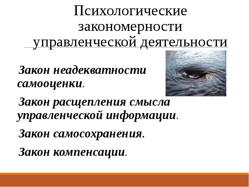 Закономерности в психологии