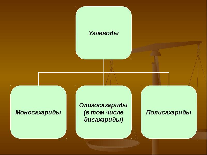 Презентация по теме полисахариды