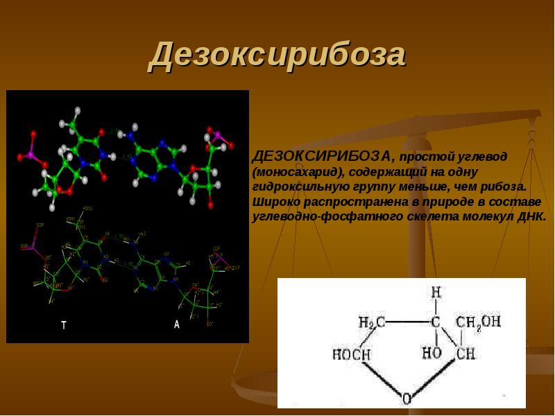 Полимер рибозы