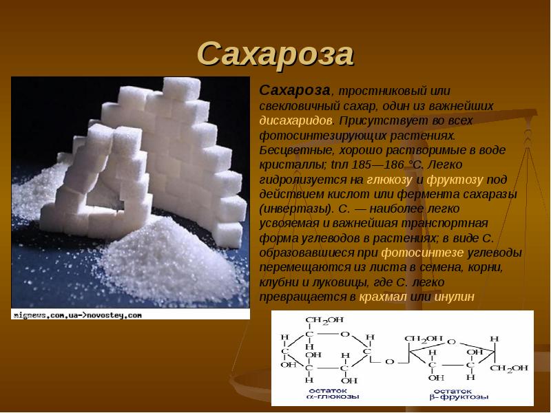 Сахароза презентация химия