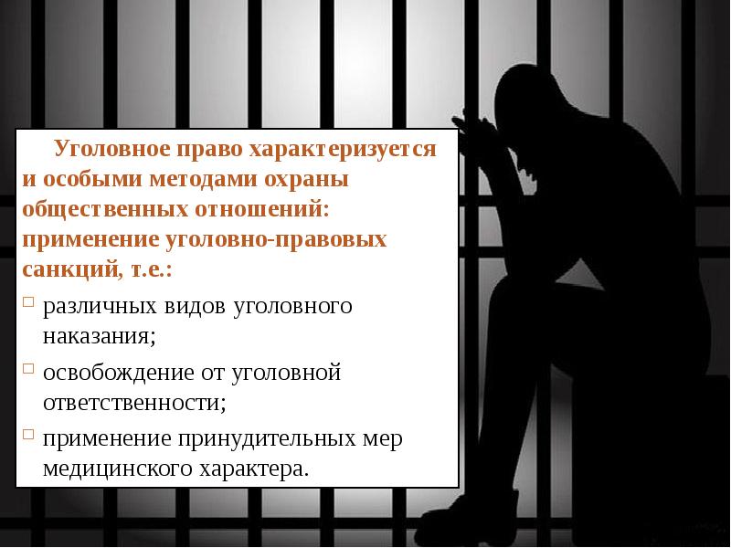 Уголовное право б. Право характеризуется. Уголовное законодательство в особых условиях. Доклад на тему уголовное право. Право характеризует.