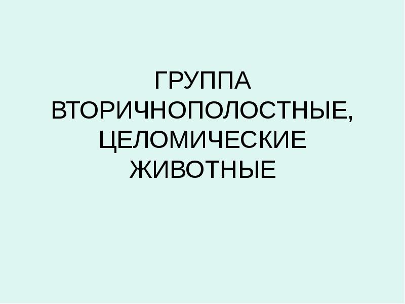 ГРУППА ВТОРИЧНОПОЛОСТНЫЕ, ЦЕЛОМИЧЕСКИЕ ЖИВОТНЫЕ