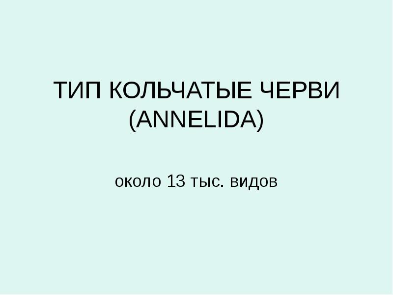 ТИП КОЛЬЧАТЫЕ ЧЕРВИ (ANNELIDA) около 13 тыс. видов