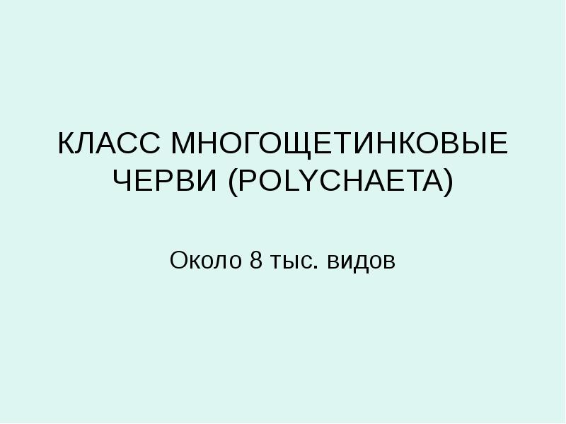 КЛАСС МНОГОЩЕТИНКОВЫЕ ЧЕРВИ (POLYCHAETA) Около 8 тыс. видов