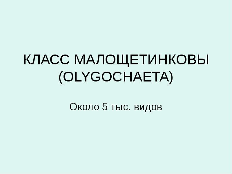 КЛАСС МАЛОЩЕТИНКОВЫ (OLYGOCHAETA) Около 5 тыс. видов