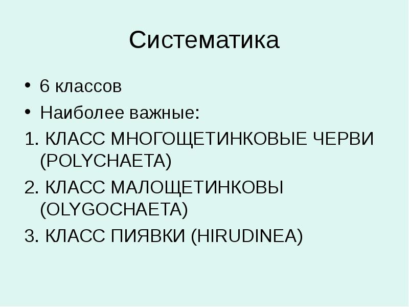 Систематика 6 классов Наиболее важные: 1. КЛАСС МНОГОЩЕТИНКОВЫЕ ЧЕРВИ (POLYCHAETA) 2.