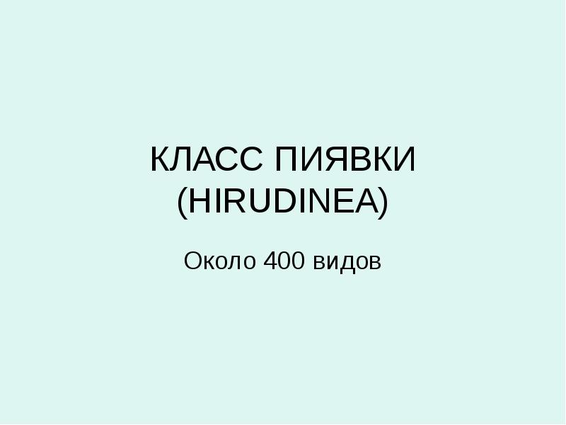 КЛАСС ПИЯВКИ (HIRUDINEA) Около 400 видов