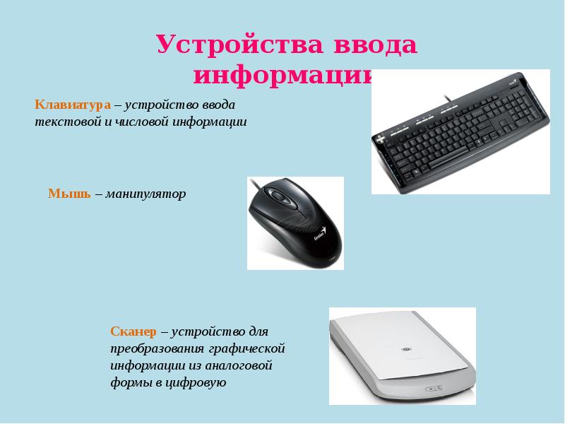 Какое устройство является устройством ввода. Устройства ввода информации. Устройство ввода устройства. Устройства вывода клавиатура мышь.