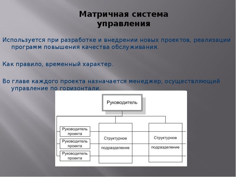 Организационная структура проекта по разработке по