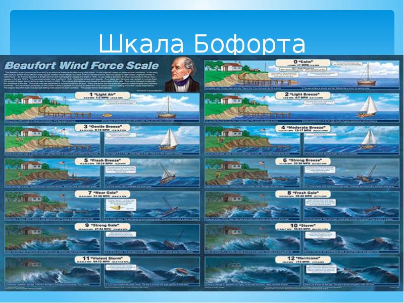 Сеть Магазинов Бофорта Сочи Официальный Сайт