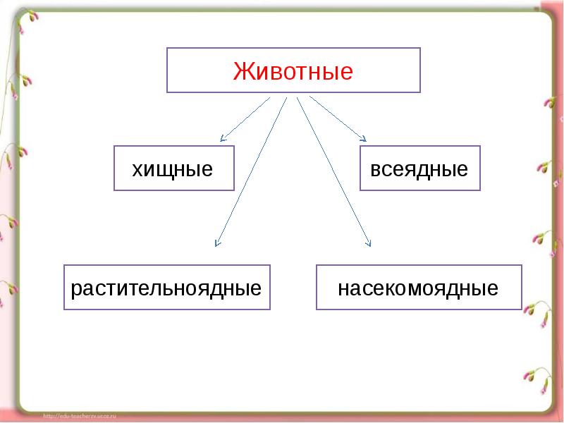 Презентация кто что ест 3 класс