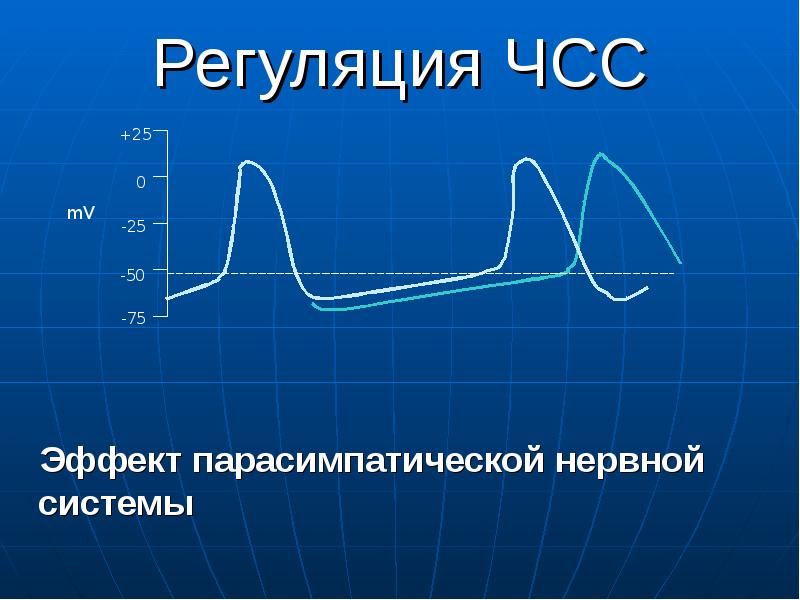 Презентация регуляция работы сердца и сосудов