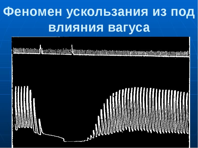 Презентация регуляция работы сердца и сосудов