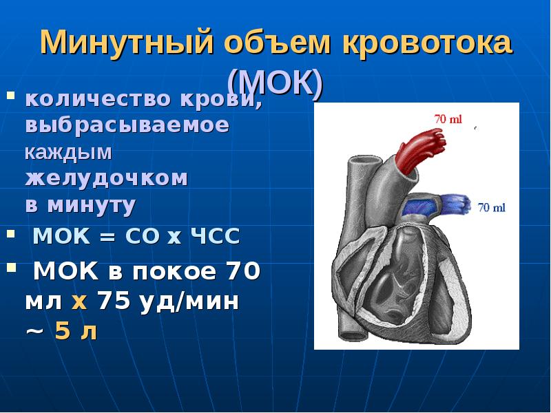 Презентация регуляция работы сердца и сосудов