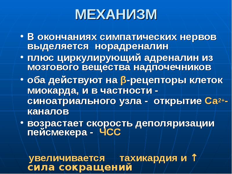 Презентация регуляция работы сердца и сосудов