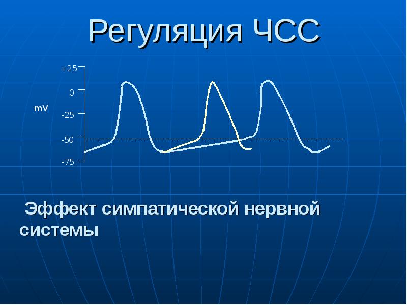 Презентация регуляция работы сердца и сосудов