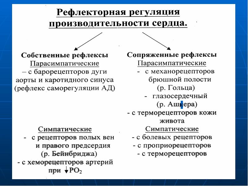 Регуляция работы сердца схема