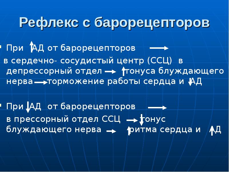 Презентация регуляция работы сердца и сосудов