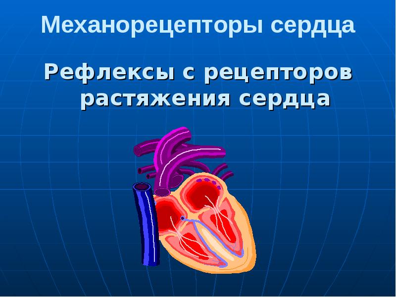 Презентация регуляция работы сердца и сосудов