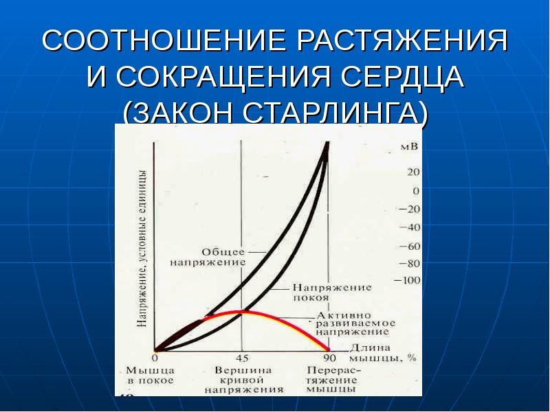 Презентация регуляция работы сердца и сосудов