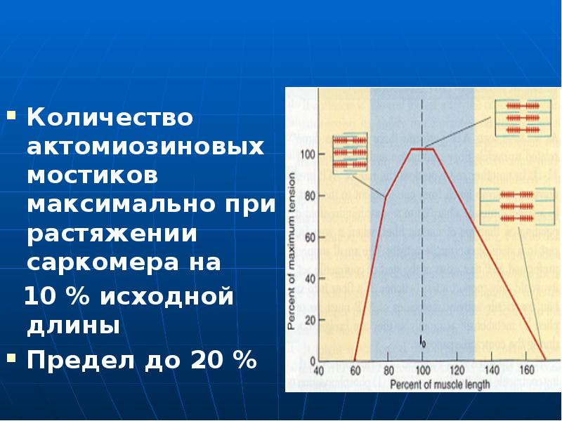 Первоначальная длина