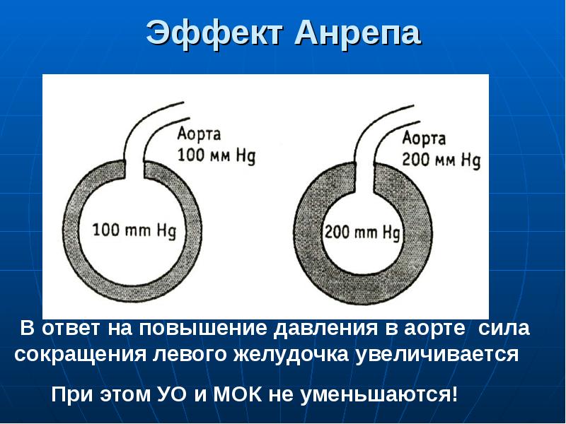 Презентация регуляция работы сердца и сосудов