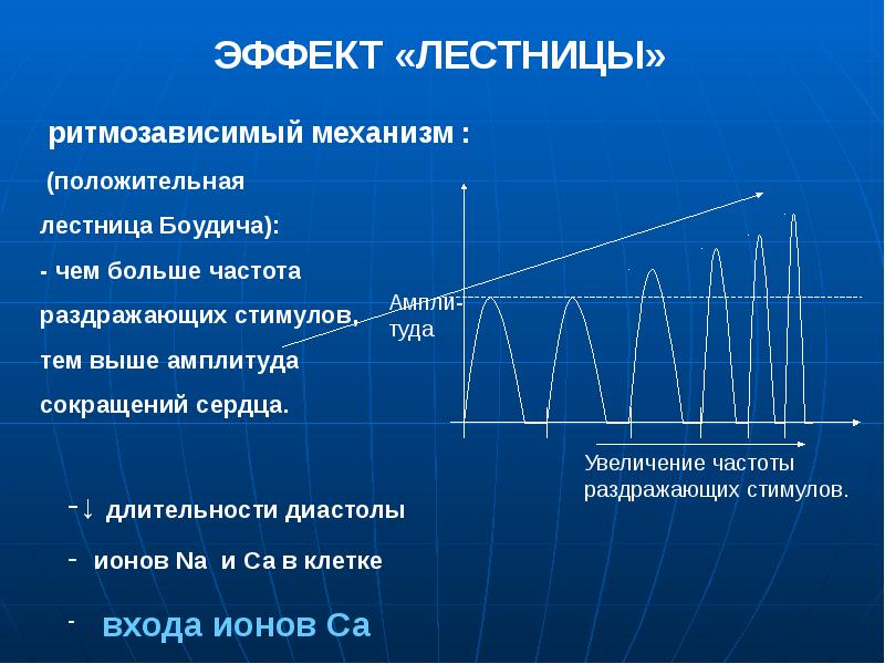 Частота работы. Феномен лестницы Боудича физиология. Лестница Боудича физиология сердца. Эффект Боудича. Эффект лестницы Боудича.