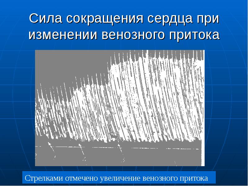 Презентация регуляция работы сердца и сосудов