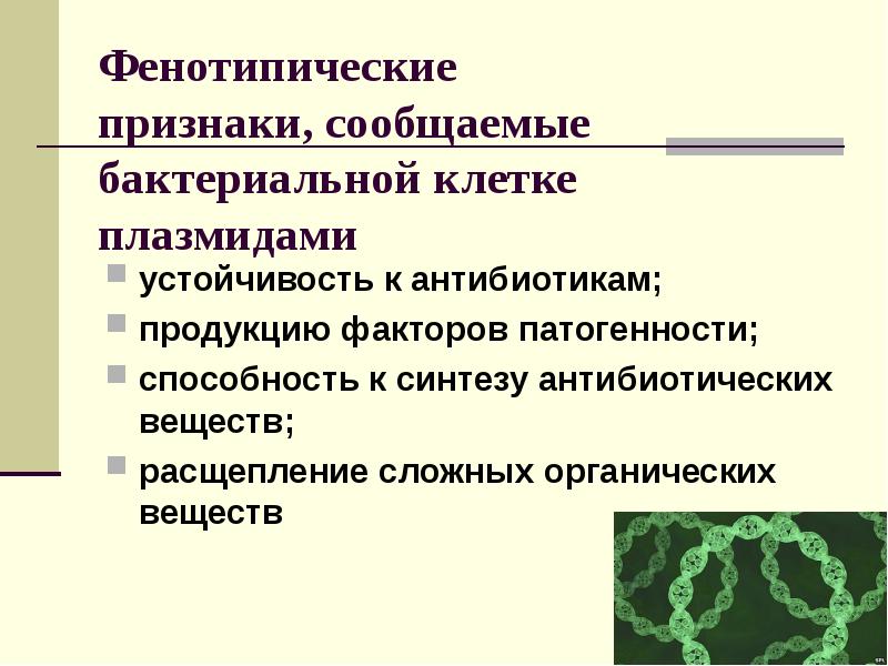 Фенотипически не проявляются мутации. Фенотипическая устойчивость к антибиотикам. Плазмиды патогенности бактерий. Фенотипическое проявление устойчивости бактерий к антибиотикам. Фенотипические признаки бактерий.