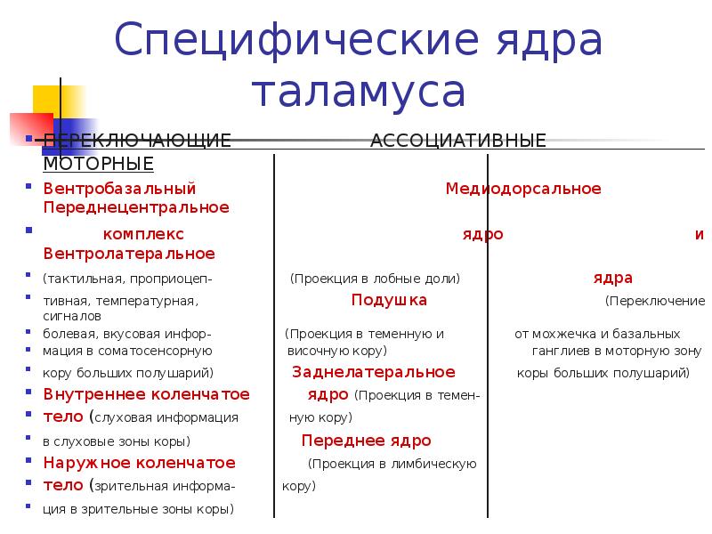 Отличия ядер. Моторные ядра таламуса функции. Двигательные ядра таламуса функции. Сенсорные ядра таламуса функции. Афферентные моторные ядра таламуса.