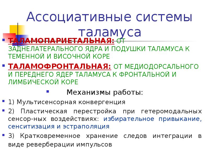Ассоциативные системы. Ассоциативные ядра. ассоциативные ядра таламуса. заднелатеральное ядро таламуса. таламопариетальная ассоциативная система.