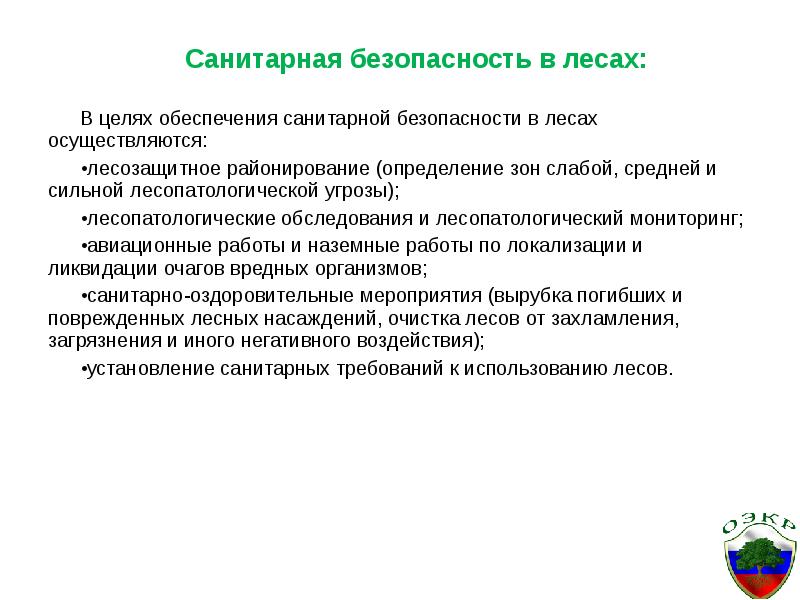 В целях обеспечения. Соблюдение санитарной безопасности. Санитарная безопасность в лесах. Соблюдение требований санитарной безопасности в лесах. Правила санитарной безопасности.