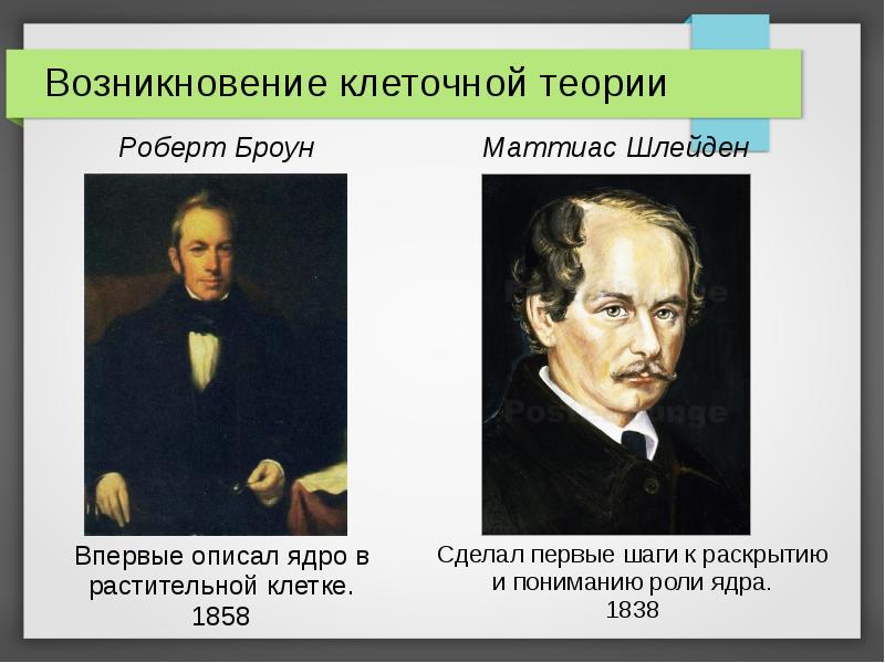 История изучение клеточной теории. Роберт Броун клеточная теория. Роберт Броун открытия. Роберт Броун ядро. Роберт Браун клеточная теория.