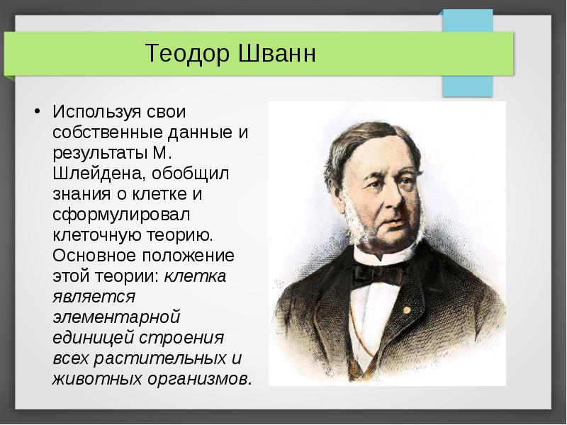 Клетки шванна. Теодор Шванн теория. Теодор Шванн клеточная теория. Теодор Шванн клетка.