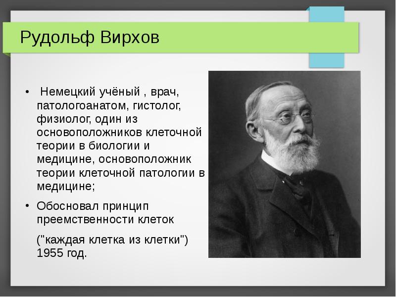 Биология достижения ученых. Рудольф Вирхов клеточная теория вклад. Биология Рудольф Вирхов. Рудольф Вирхов вклад в цитологию. Рудольф Вирхов вклад в биологию.