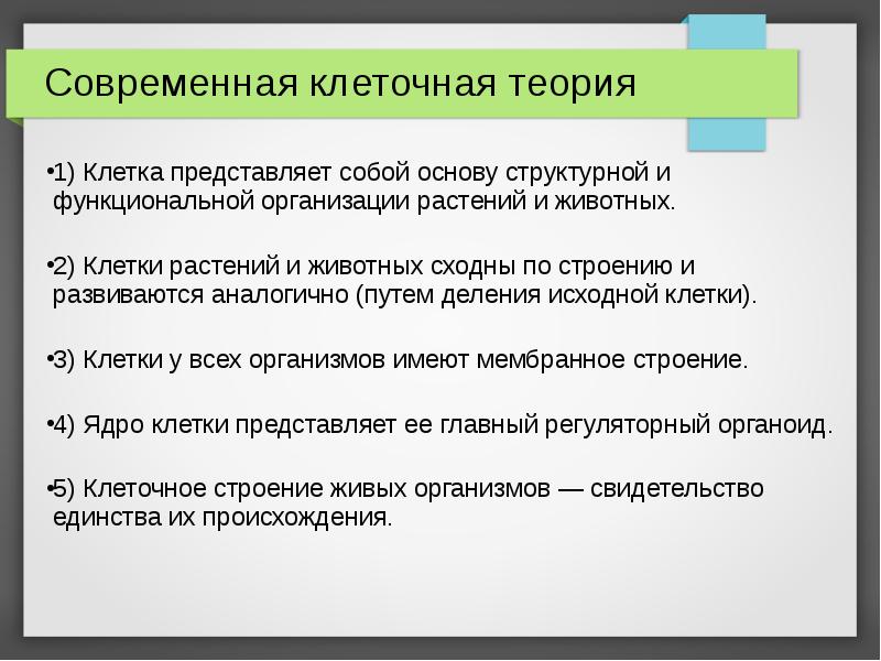 Имеет под собой основу. Современная теория клетки. Современная клеточная теория. Рахит план обследования. Звук и буква щ.