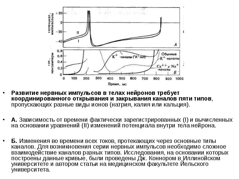 Схема механизмов развития нейродистрофического процесса