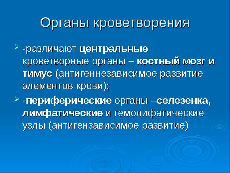 Органы кроветворения у человека. Органы иммуногенеза. Органы иммуногенеза. Органы иммуногенеза. Центральные органы иммунной системы.