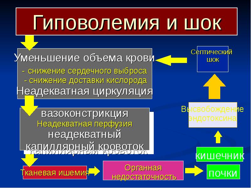 Принципы лечения шока